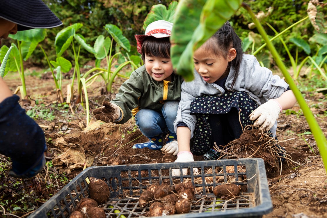 Agricultural experience with farm worker