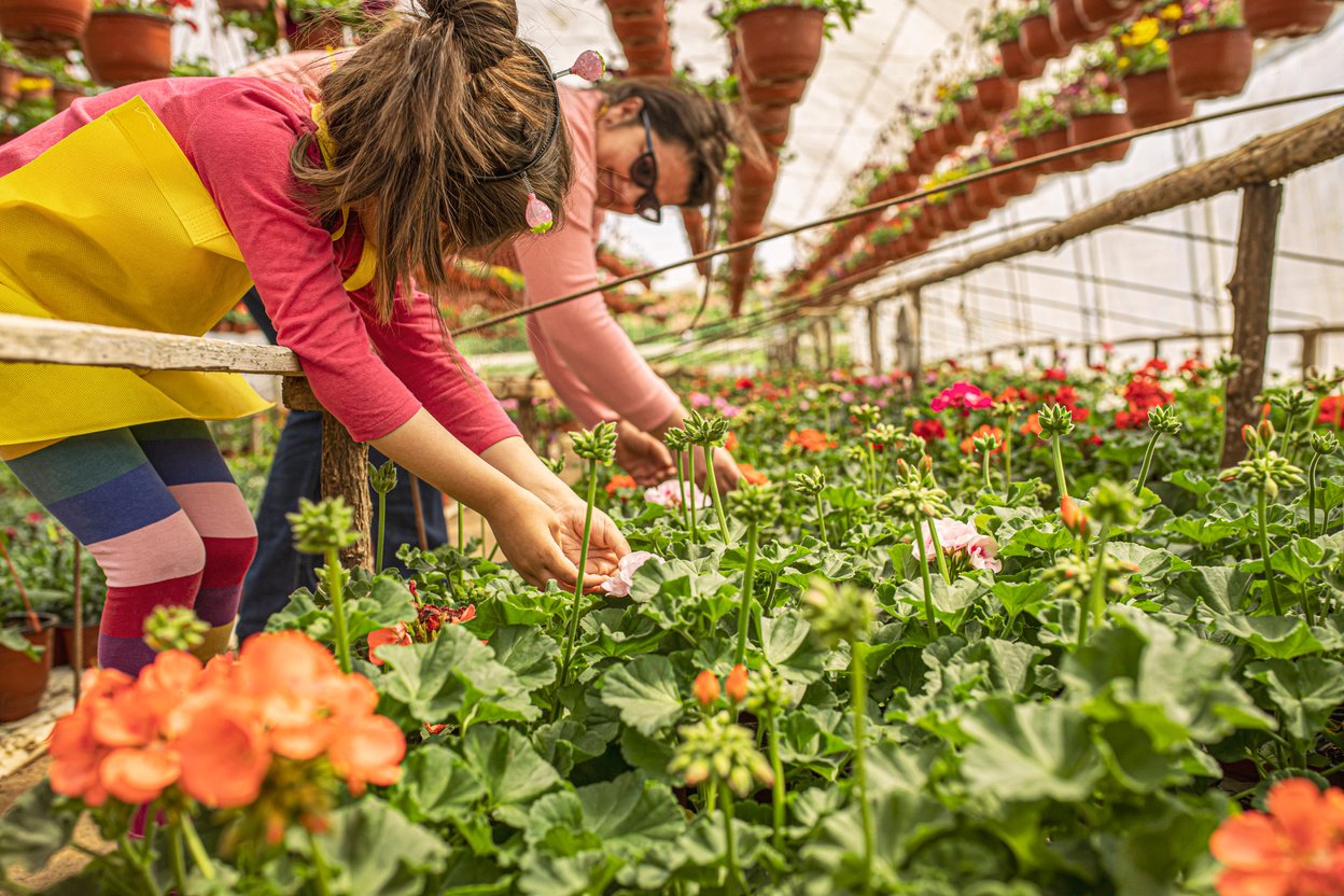 Little girl and her auntie planting flowers in the greenhouse